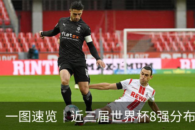 一图速览｜近三届世界杯8强分布--文旅·体育--人民网