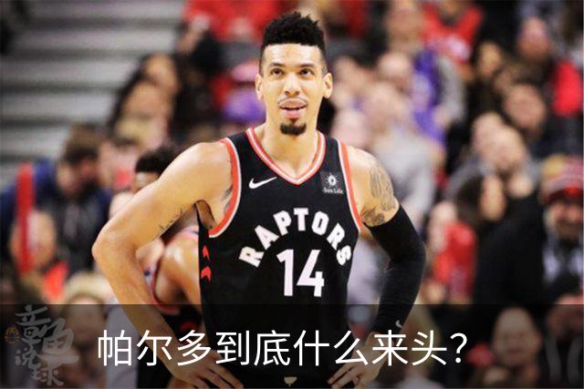帕尔多到底什么来头？