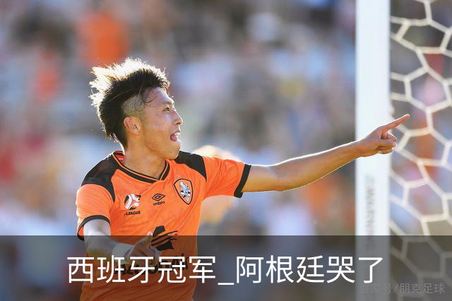 西班牙冠军 阿根廷哭了