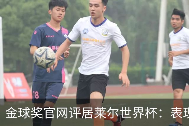 金球奖官网评居莱尔世界杯：表现足够好，可惜整体不佳