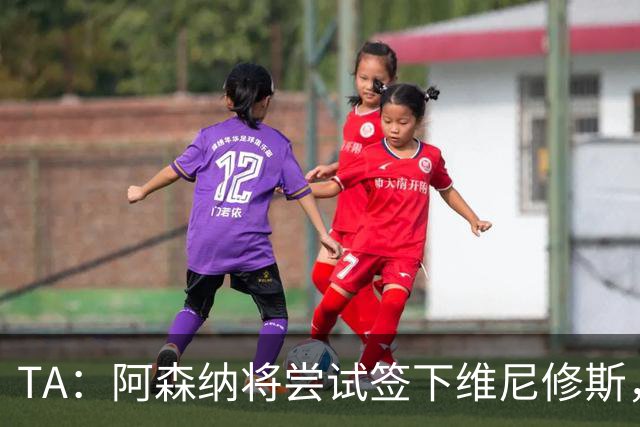 TA：阿森纳将尝试签下维尼修斯，并打算引进一名后卫
